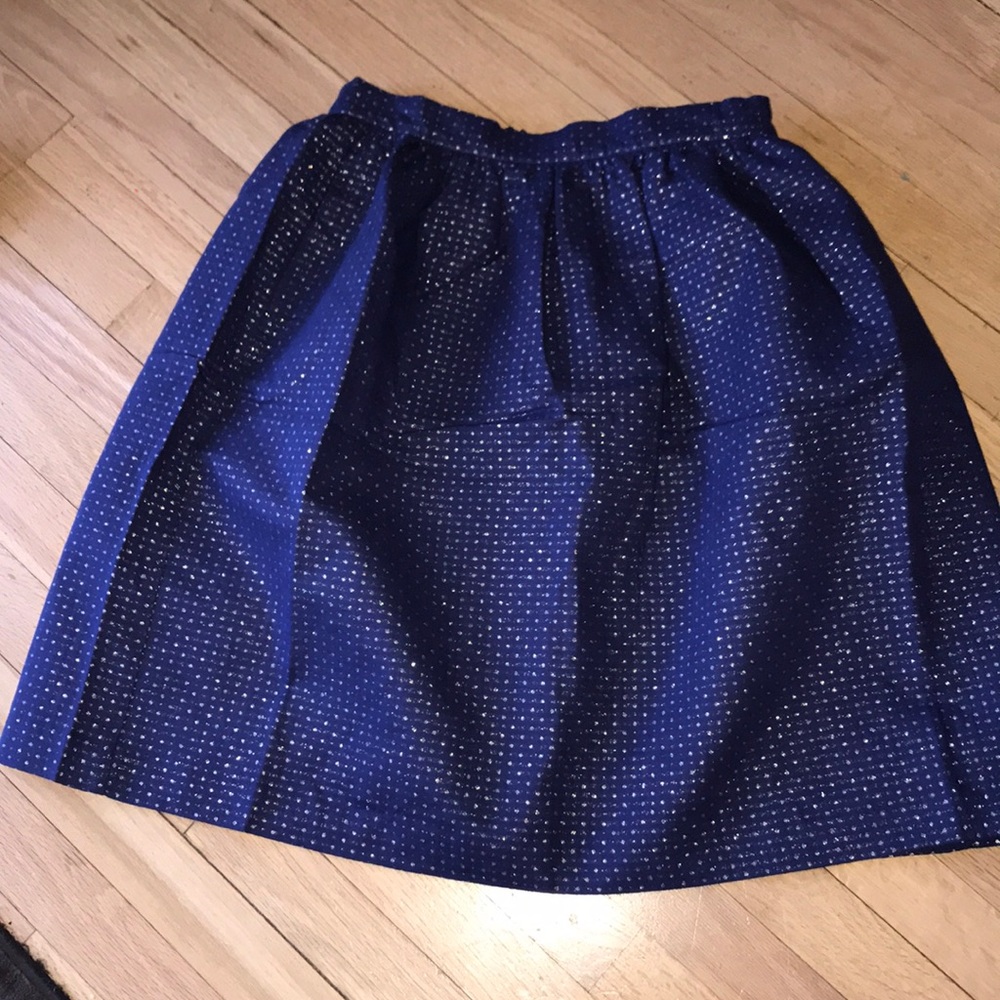 Blue pleated skirt